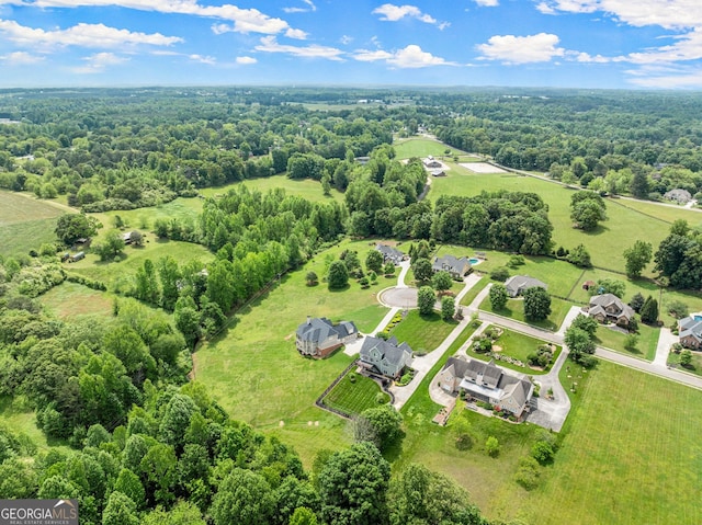 541 Brown Dr, Clermont, GA 30527 - bird's eye view of a forest