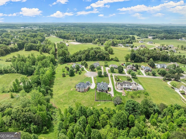 541 Brown Dr, Clermont, GA 30527 - drone / aerial view