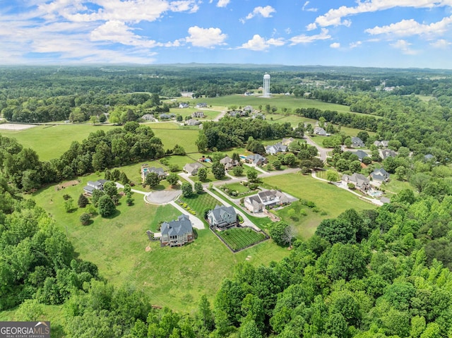 541 Brown Dr, Clermont, GA 30527 - bird's eye view