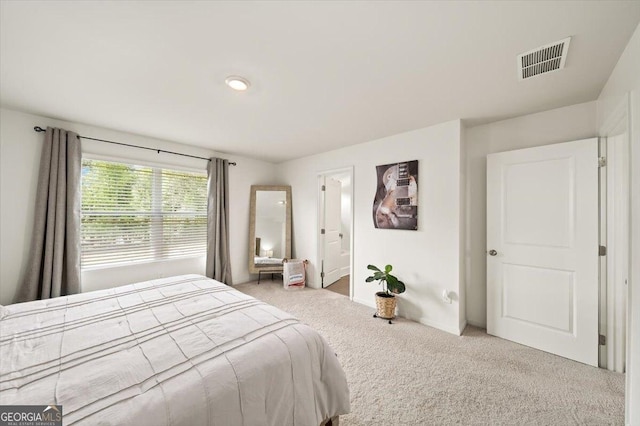 218 Lookout Dr, Dallas, GA 30132 - bedroom with carpet floors