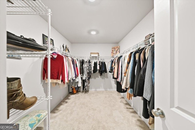 218 Lookout Dr, Dallas, GA 30132 - walk in closet with carpet flooring