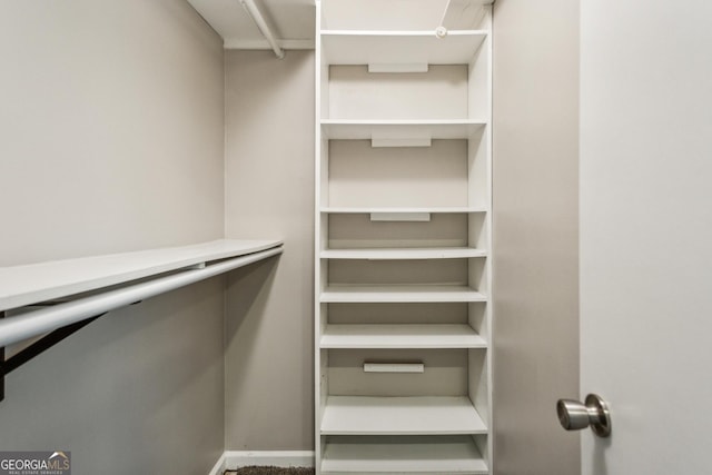 232 Apple Branch Dr, Woodstock, GA 30188 - view of walk in closet