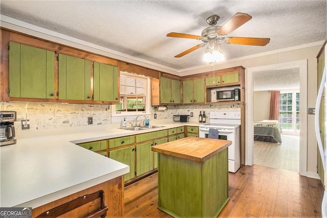 345 Davis Rd W, Fairmount, GA 30139 - kitchen with electric range, a sink, decorative backsplash, light wood-style flooring, and plenty of natural light