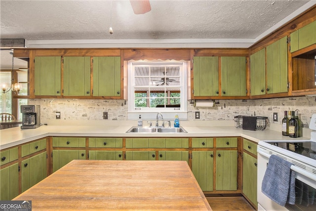 345 Davis Rd W, Fairmount, GA 30139 - kitchen with electric range, a sink, a textured ceiling, backsplash, and light countertops
