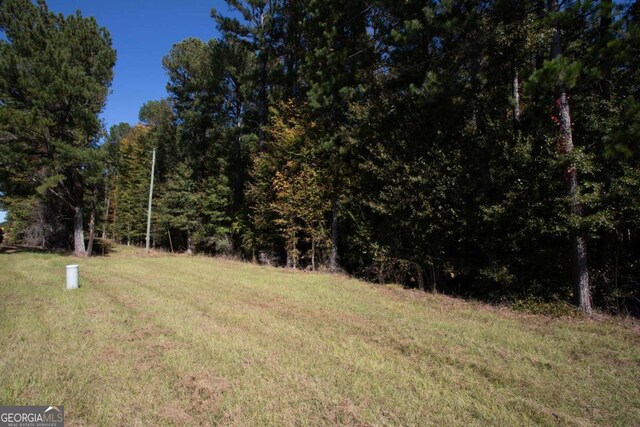 LOTD Salem Road, Watkinsville, GA 30677