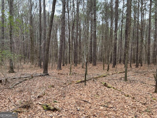 LOTD Salem Road, Watkinsville, GA 30677