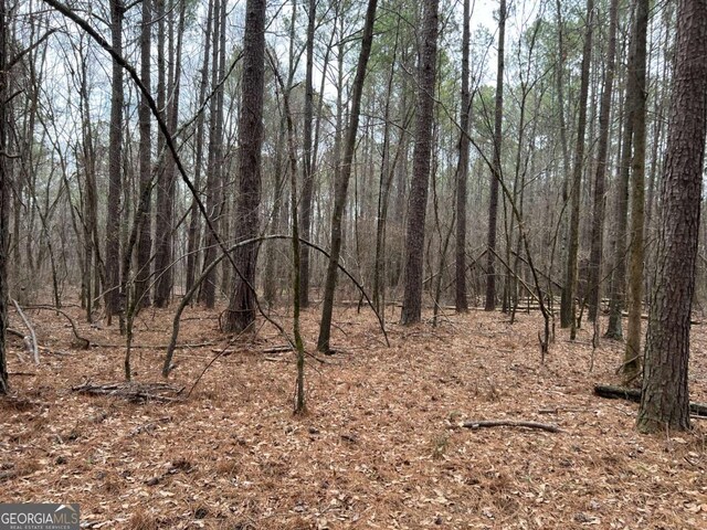 LOTD Salem Road, Watkinsville, GA 30677