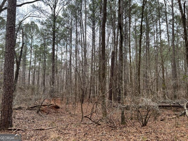 LOTD Salem Road, Watkinsville, GA 30677