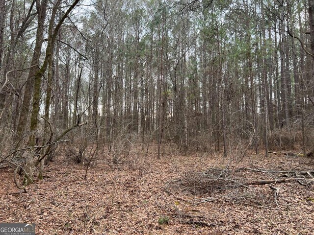 LOTD Salem Road, Watkinsville, GA 30677