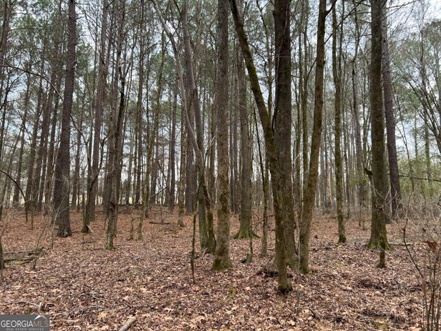 LOTD Salem Road, Watkinsville, GA 30677