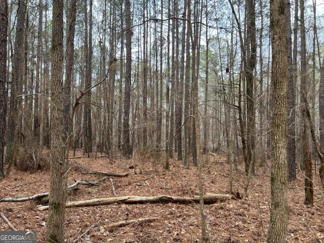 LOTD Salem Road, Watkinsville, GA 30677