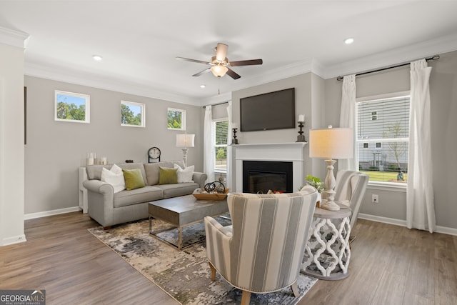 237 Orion Dr, Dalton, GA 30720 - living room featuring ornamental molding, baseboards, healthy amount of natural light, a ceiling fan, and wood finished floors