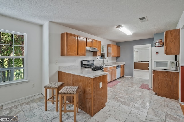 3524 Forest Downs Cv, Decatur, GA 30034 - kitchen with stainless steel gas stove, dishwashing machine, under cabinet range hood, a sink, and light marble finish floors