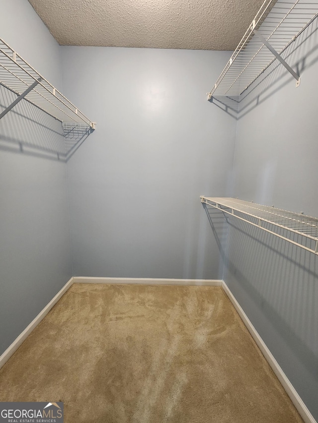 10900 Wittenridge Dr Unit H8, Alpharetta, GA 30022 - walk in closet with carpet