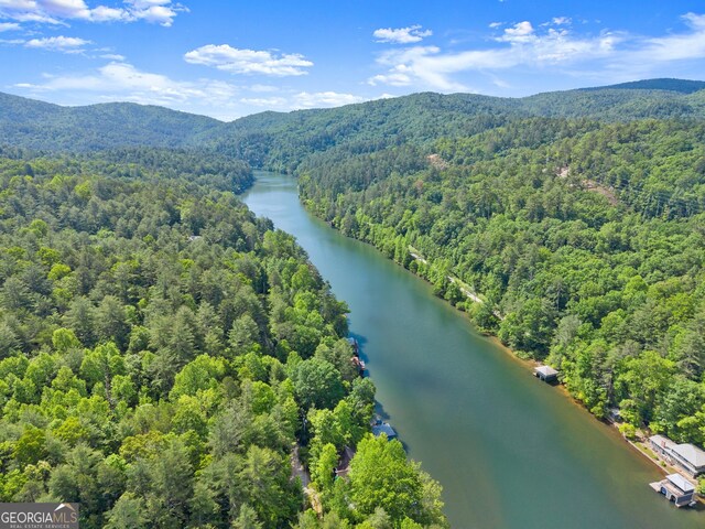 1431 Tame Turkey Rd, Lakemont, GA 30552 - drone / aerial view of a forest and a water and mountain view