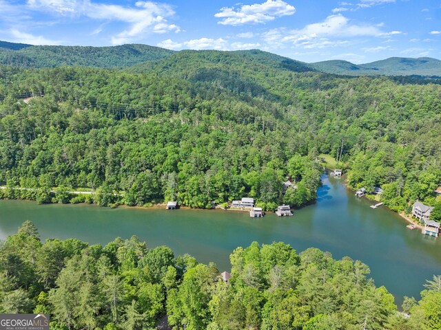 1431 Tame Turkey Rd, Lakemont, GA 30552 - bird's eye view of a heavily wooded area and a water and mountain view