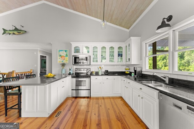 1431 Tame Turkey Rd, Lakemont, GA 30552 - kitchen featuring stainless steel appliances, a sink, lofted ceiling, a peninsula, and white cabinetry