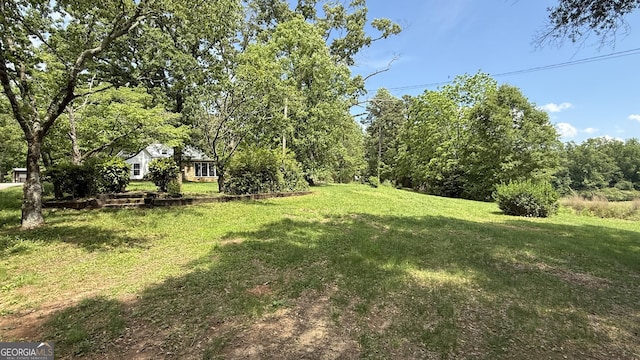 4850 New Liberty Rd, Clarkesville, GA 30523 - view of green lawn