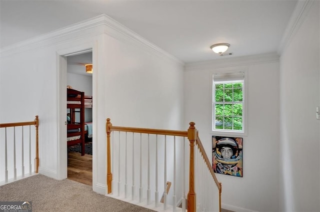 197 White Antelope St, Waleska, GA 30183 - hall with an upstairs landing, ornamental molding, carpet floors, and baseboards