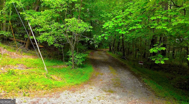 0 Nocona Trl, Ellijay, GA 30536