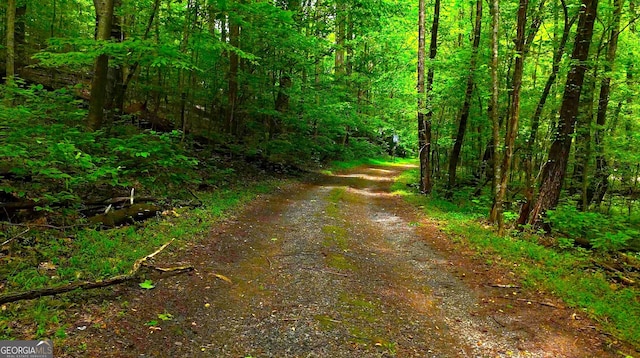0 Nocona Trl, Ellijay, GA 30536