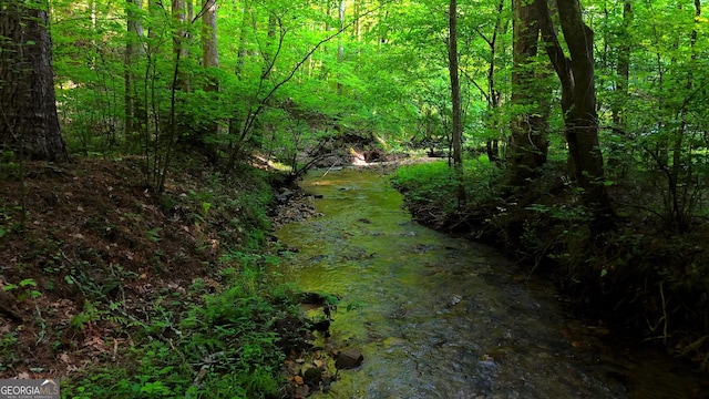0 Nocona Trl, Ellijay, GA 30536