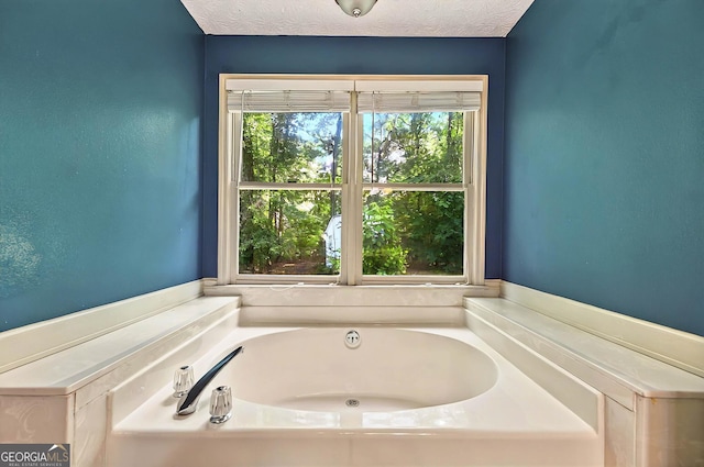 299 Fieldview Dr, Auburn, GA 30011 - bathroom with a garden tub