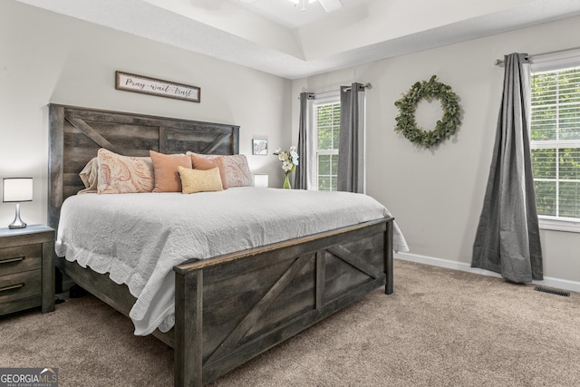 230 Hannah Dr, Colbert, GA 30628 - carpeted bedroom featuring multiple windows, baseboards, and ceiling fan