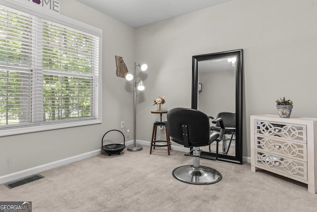 230 Hannah Dr, Colbert, GA 30628 - carpeted home office featuring healthy amount of natural light and baseboards