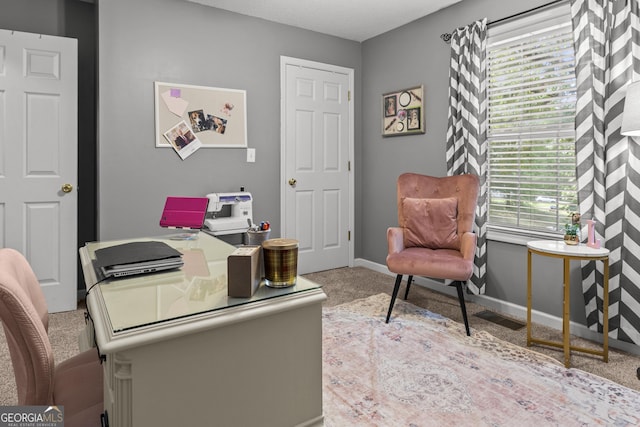 230 Hannah Dr, Colbert, GA 30628 - home office featuring carpet flooring and baseboards