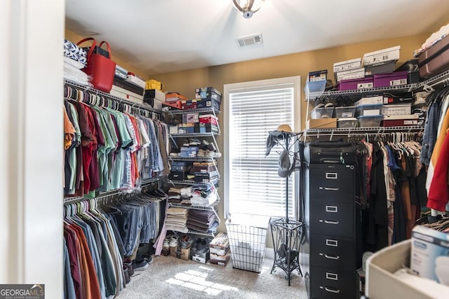 215 Wilsons Creek Bnd, Bonaire, GA 31005 - view of spacious closet
