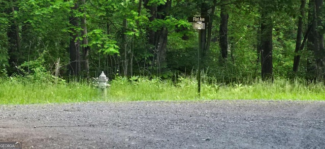 LOT3760 Graham Ct, Ellijay, GA 30540