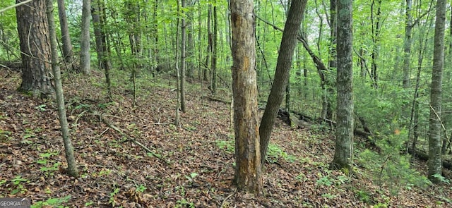 LOT3760 Graham Ct, Ellijay, GA 30540
