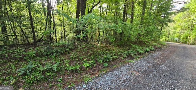 LOT3760 Graham Ct, Ellijay, GA 30540