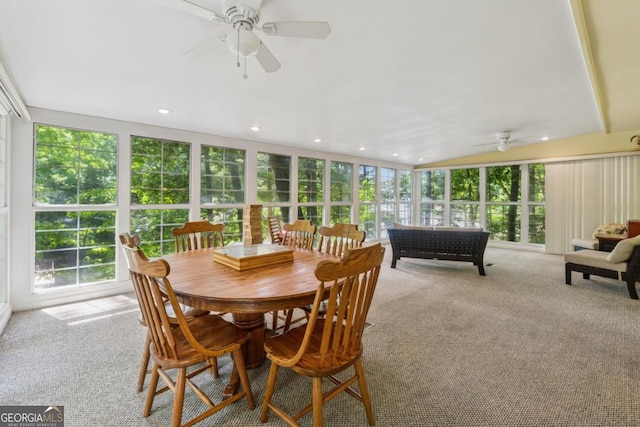 3644 Bert Dr, Gainesville, GA 30506 - sunroom / solarium with healthy amount of natural light, carpet, and recessed lighting
