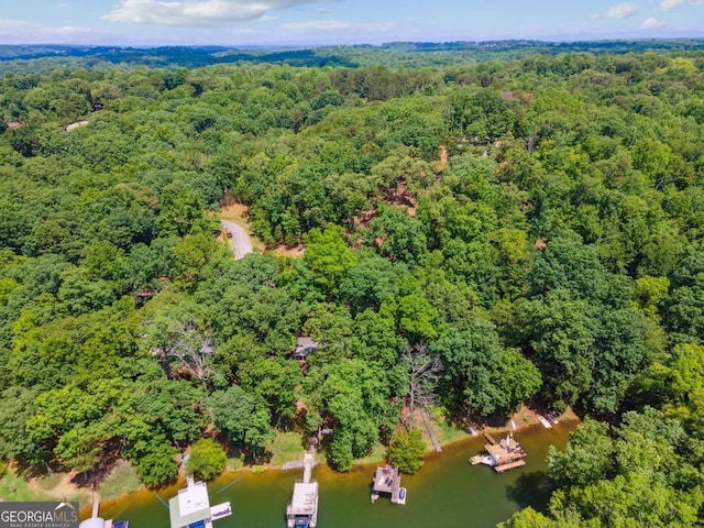 3644 Bert Dr, Gainesville, GA 30506 - bird's eye view of a forest and a nearby body of water