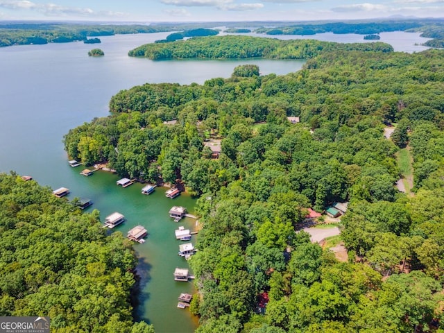 3644 Bert Dr, Gainesville, GA 30506 - bird's eye view of a nearby body of water and a heavily wooded area