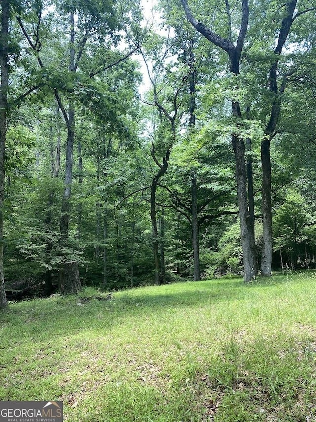 2376 Holly Ct, Cumming, GA 30041
