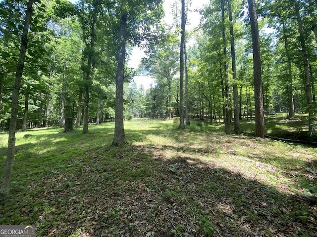 2376 Holly Ct, Cumming, GA 30041