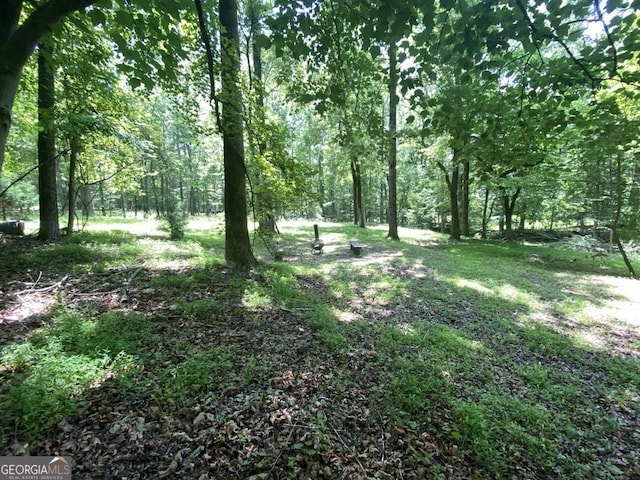 2376 Holly Ct, Cumming, GA 30041