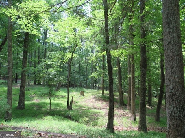 2376 Holly Ct, Cumming, GA 30041