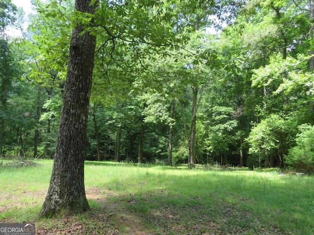 2376 Holly Ct, Cumming, GA 30041
