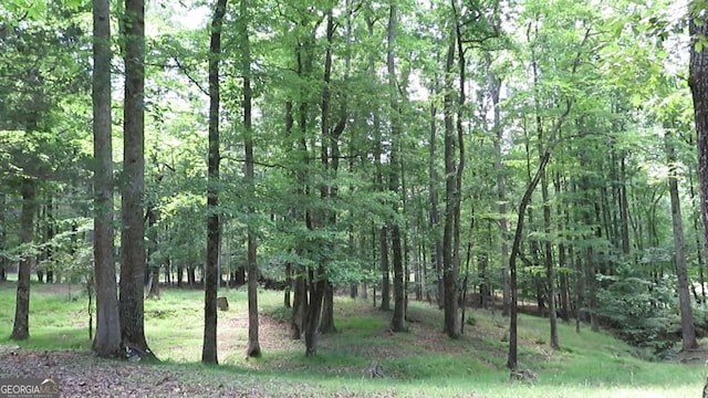 2376 Holly Ct, Cumming, GA 30041