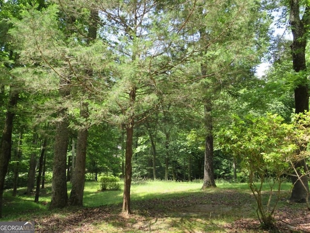 2376 Holly Ct, Cumming, GA 30041