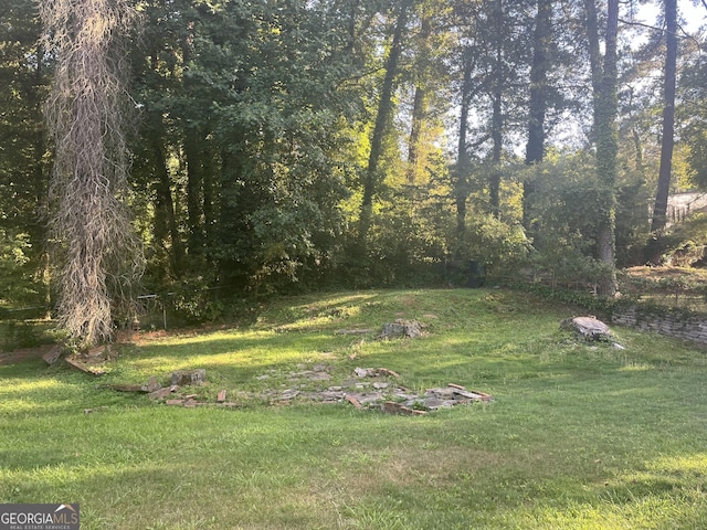 2530 Old Colony Rd, East Point, GA 30344 - view of green lawn