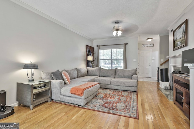 508 Las Brasis Ct, Peachtree City, GA 30269 - living area featuring ornamental molding, ceiling fan, light wood finished floors, and a textured ceiling