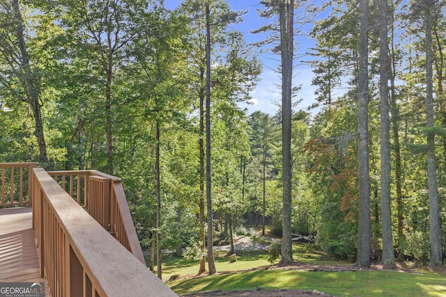 155 Bear Paw Ct, Clarkesville, GA 30523 - view of yard
