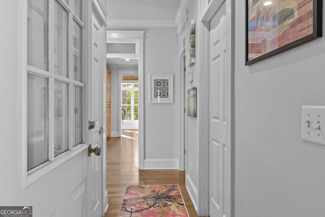 155 Bear Paw Ct, Clarkesville, GA 30523 - hallway with crown molding, wood finished floors, and baseboards