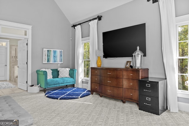 155 Bear Paw Ct, Clarkesville, GA 30523 - living area featuring vaulted ceiling and healthy amount of natural light