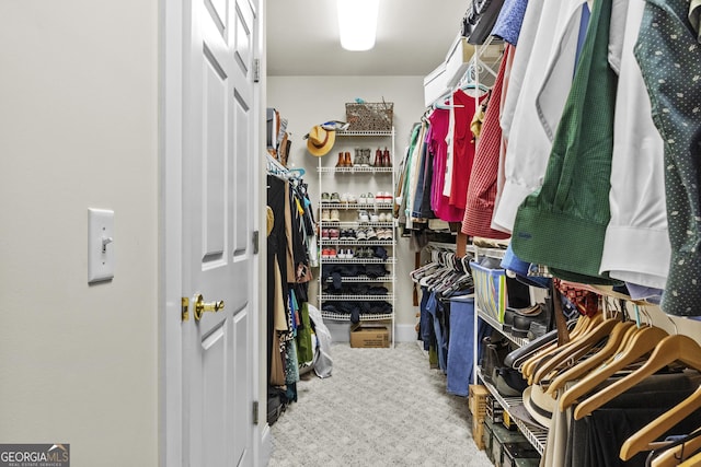 155 Bear Paw Ct, Clarkesville, GA 30523 - view of walk in closet